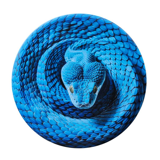 Custom Snake Illusion Disc